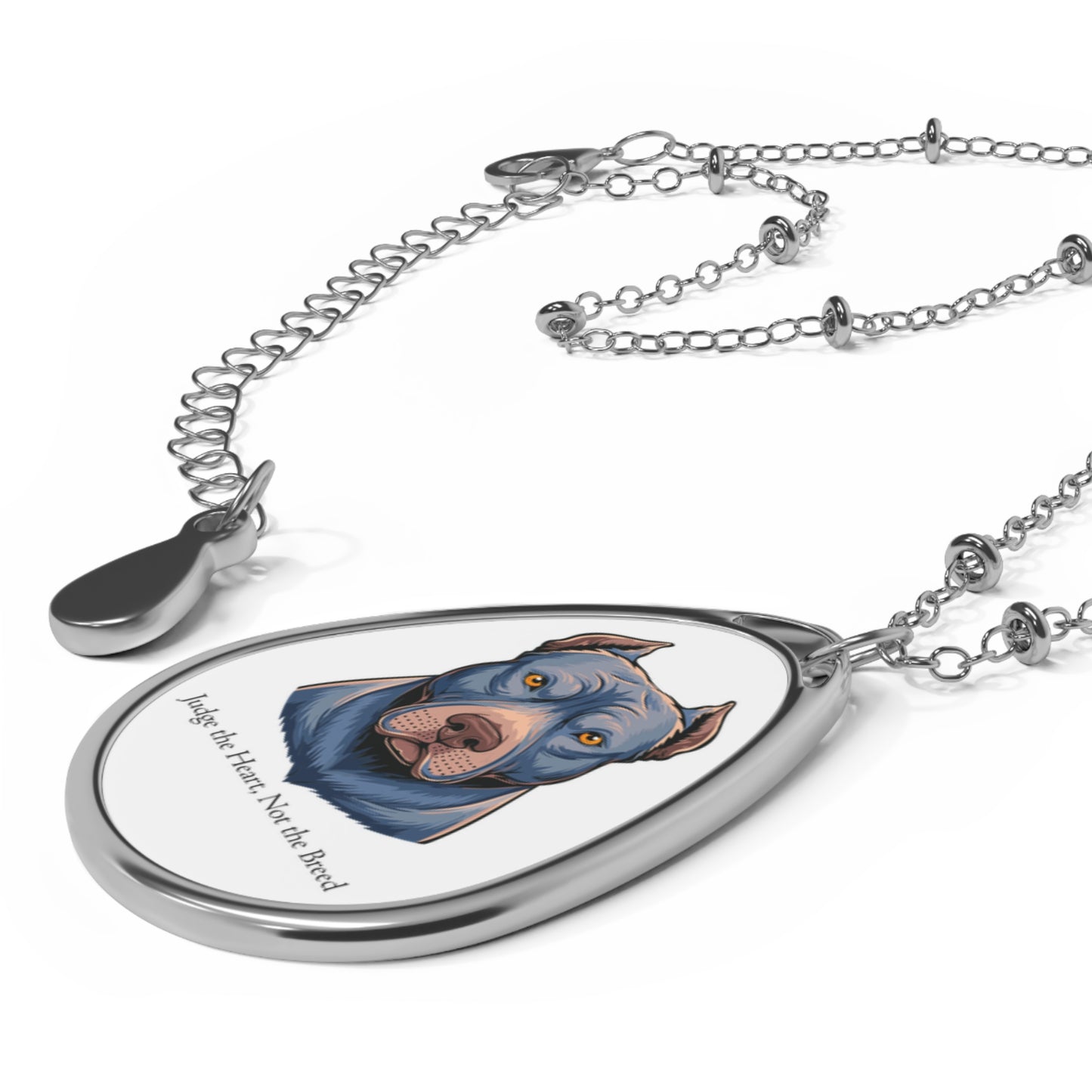Collar ovalado de Pit Bull: «Juzga el corazón, no la raza» 